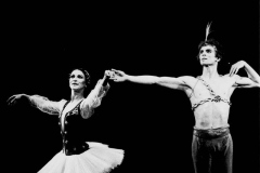 LE CORSAIRE