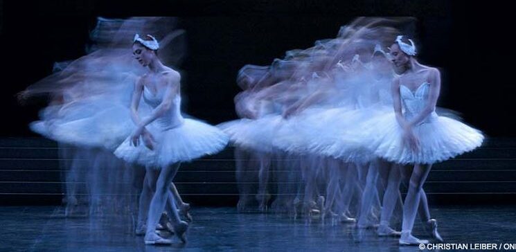 Swan Lake