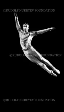 RNF_00075_Bayadere