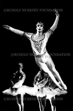 RNF_00076_Bayadere