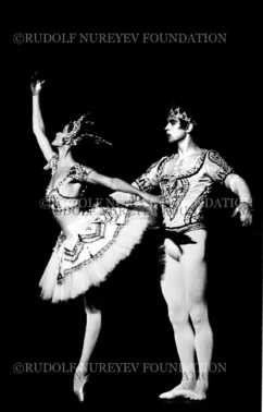 RNF_00078_Bayadere
