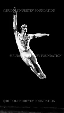 RNF_00081_Bayadere