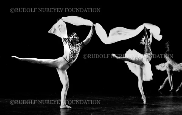 RNF_00083_Bayadere