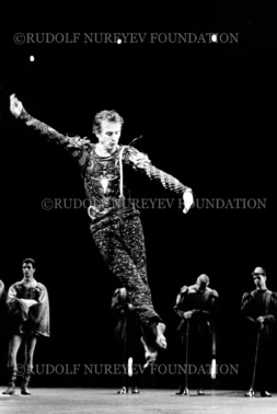 RNF_00099_Swan