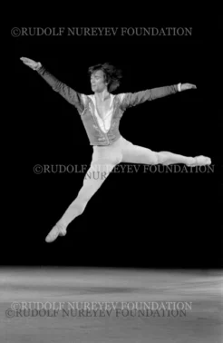 RNF_00100_Swan