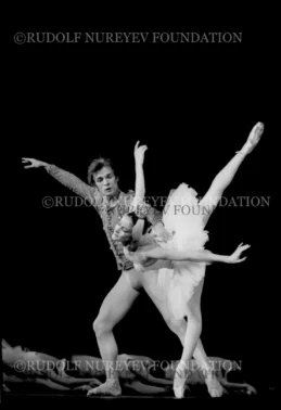 RNF_00101_Swan