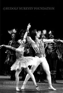 RNF_00217_DonQuixote